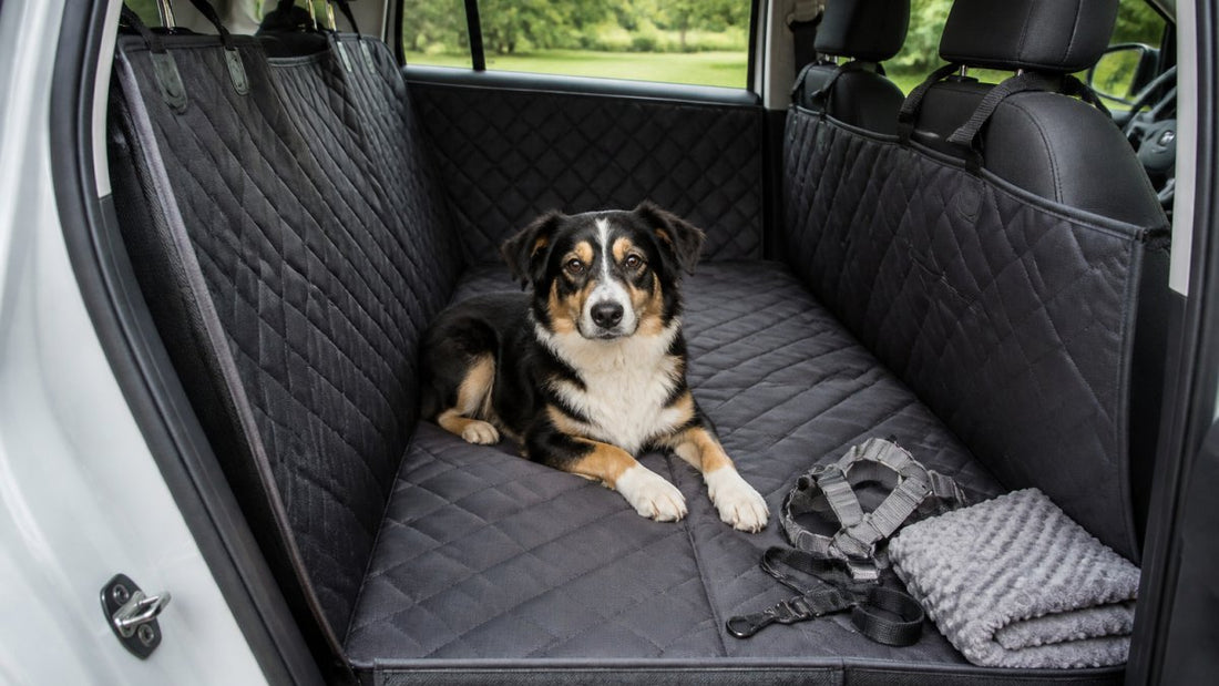 Backseat Extenders for Anxious Dogs: A Buyer's Guide